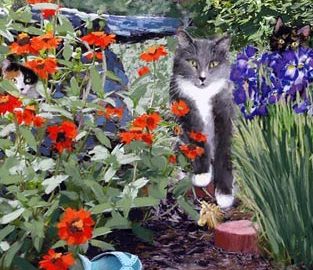 Revenge at its Felinest
