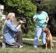 Karen Lee Stevens Videoing a Shelter Dog