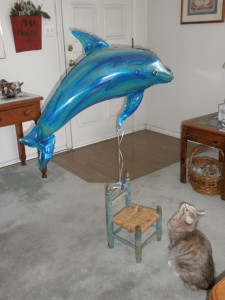 Lily Meets Her First Balloon