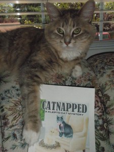 Lily Posing With Catnapped