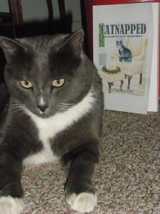 smokey-001 Smokey Endorses Catnapped