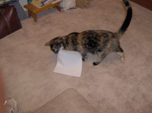 Sophie retrieving a fax