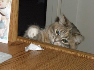 Lily sneaking a treat