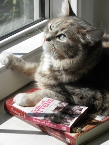 Sophie At Window