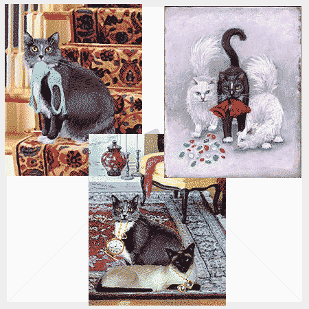 Klepto Cat Mystery Note Cards