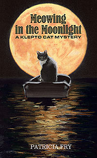 Meowing in the Moonlight